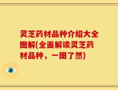 灵芝药材品种介绍大全图解(全面解读灵芝药材品种，一图了然)