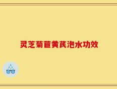 灵芝菊苣黄芪泡水功效