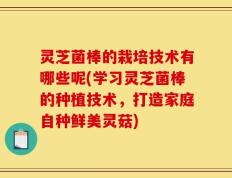 灵芝菌棒的栽培技术有哪些呢(学习灵芝菌棒的种植技术，打造家庭自种鲜美灵菇)