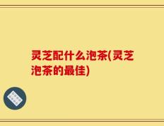 灵芝配什么泡茶(灵芝泡茶的最佳)