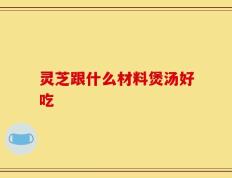 灵芝跟什么材料煲汤好吃