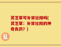 灵芝草可补肾壮阳吗(灵芝草：补肾壮阳的神奇良药？)