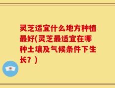 灵芝适宜什么地方种植最好(灵芝最适宜在哪种土壤及气候条件下生长？)