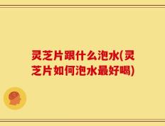灵芝片跟什么泡水(灵芝片如何泡水最好喝)