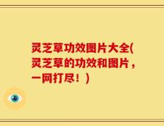 灵芝草功效图片大全(灵芝草的功效和图片，一网打尽！)
