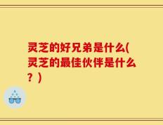 灵芝的好兄弟是什么(灵芝的最佳伙伴是什么？)