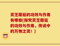 灵芝蘑菇的功效与作用有哪些(探究灵芝蘑菇的功效与作用，传说中的万物之灵！)
