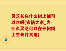 灵芝长在什么树上都可以吃吗(宜信之家_为什么灵芝可以在任何树上生长并食用)