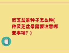 灵芝盆景种子怎么种(种灵芝盆景需要注意哪些事项？)