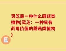 灵芝是一种什么蘑菇类植物(灵芝：一种具有药用价值的蘑菇类植物)
