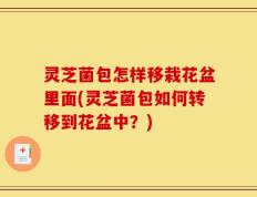 灵芝菌包怎样移栽花盆里面(灵芝菌包如何转移到花盆中？)