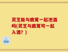 灵芝能与鹿茸一起泡酒吗(灵芝与鹿茸可一起入酒？)