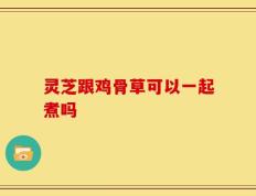灵芝跟鸡骨草可以一起煮吗