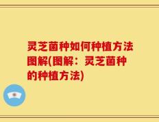 灵芝菌种如何种植方法图解(图解：灵芝菌种的种植方法)