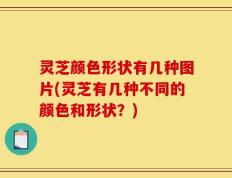灵芝颜色形状有几种图片(灵芝有几种不同的颜色和形状？)