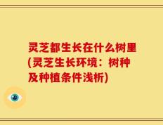 灵芝都生长在什么树里(灵芝生长环境：树种及种植条件浅析)
