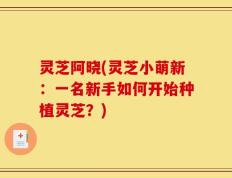 灵芝阿晓(灵芝小萌新：一名新手如何开始种植灵芝？)