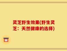 灵芝野生效果(野生灵芝：天然健康的选择)