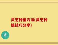 灵芝种植方法(灵芝种植技巧分享)