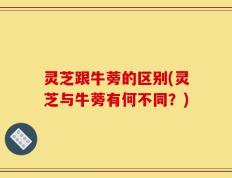 灵芝跟牛蒡的区别(灵芝与牛蒡有何不同？)