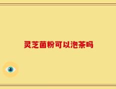 灵芝菌粉可以泡茶吗