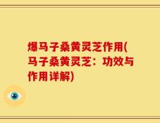 爆马子桑黄灵芝作用(马子桑黄灵芝：功效与作用详解)