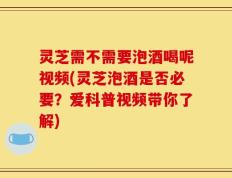 灵芝需不需要泡酒喝呢视频(灵芝泡酒是否必要？爱科普视频带你了解)