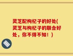 灵芝配枸杞子的好处(灵芝与枸杞子的联合好处，你不得不知！)