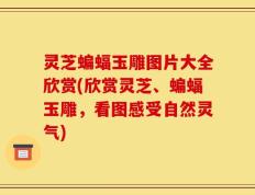 灵芝蝙蝠玉雕图片大全欣赏(欣赏灵芝、蝙蝠玉雕，看图感受自然灵气)