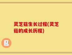 灵芝菇生长过程(灵芝菇的成长历程)