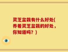 灵芝盆栽有什么好处(养着灵芝盆栽的好处，你知道吗？)