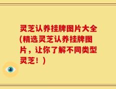 灵芝认养挂牌图片大全(精选灵芝认养挂牌图片，让你了解不同类型灵芝！)