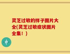 灵芝过敏的样子图片大全(灵芝过敏症状图片全集！)