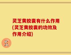 灵芝黄胶囊有什么作用(灵芝黄胶囊的功效及作用介绍)