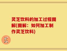 灵芝饮料的加工过程图解(图解：如何加工制作灵芝饮料)