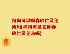 狗狗可以喝春砂仁灵芝汤吗(狗狗可以食用春砂仁灵芝汤吗)