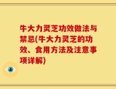 牛大力灵芝功效做法与禁忌(牛大力灵芝的功效、食用方法及注意事项详解)