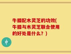 牛膝配木灵芝的功效(牛膝与木灵芝联合使用的好处是什么？)