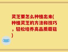 灵芝要怎么种植出来(种植灵芝的方法和技巧，轻松培养高品质蘑菇)