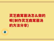 灵芝鹿茸菌汤怎么做的呢(制作灵芝鹿茸菌汤的方法分享)