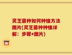 灵芝菌种如何种植方法图片(灵芝菌种种植详解：步骤+图片)