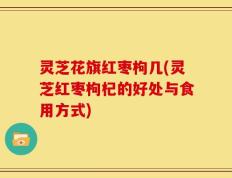 灵芝花旗红枣枸几(灵芝红枣枸杞的好处与食用方式)