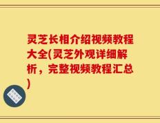 灵芝长相介绍视频教程大全(灵芝外观详细解析，完整视频教程汇总)