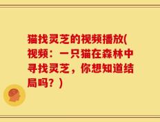 猫找灵芝的视频播放(视频：一只猫在森林中寻找灵芝，你想知道结局吗？)