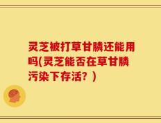 灵芝被打草甘膦还能用吗(灵芝能否在草甘膦污染下存活？)
