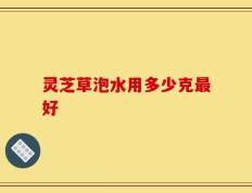 灵芝草泡水用多少克最好