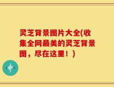 灵芝背景图片大全(收集全网最美的灵芝背景图，尽在这里！)