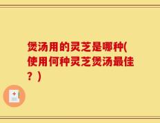 煲汤用的灵芝是哪种(使用何种灵芝煲汤最佳？)