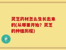 灵芝药材怎么生长出来的(从哪里开始？灵芝的种植历程)