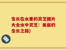 生长在水里的灵芝图片大全水中灵芝：美丽的生长之路)